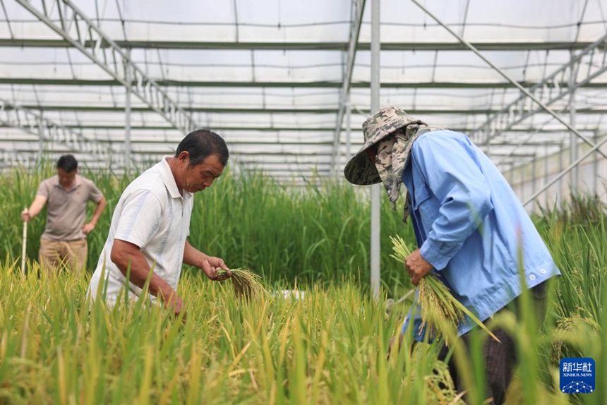 ??? ?? ?? ?? ???? ?? ???? ??? ??(農(nóng)樂)????????? ???? ??? ???? ??. [3? 21? ??/?? ??: ???]