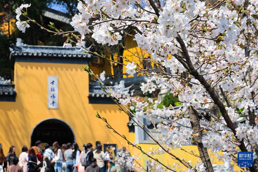 ???? ??(南京) ???(雞鳴寺)?? ?? ???? ??. [3? 22? ??/?? ??: ??(蘇陽(yáng))]