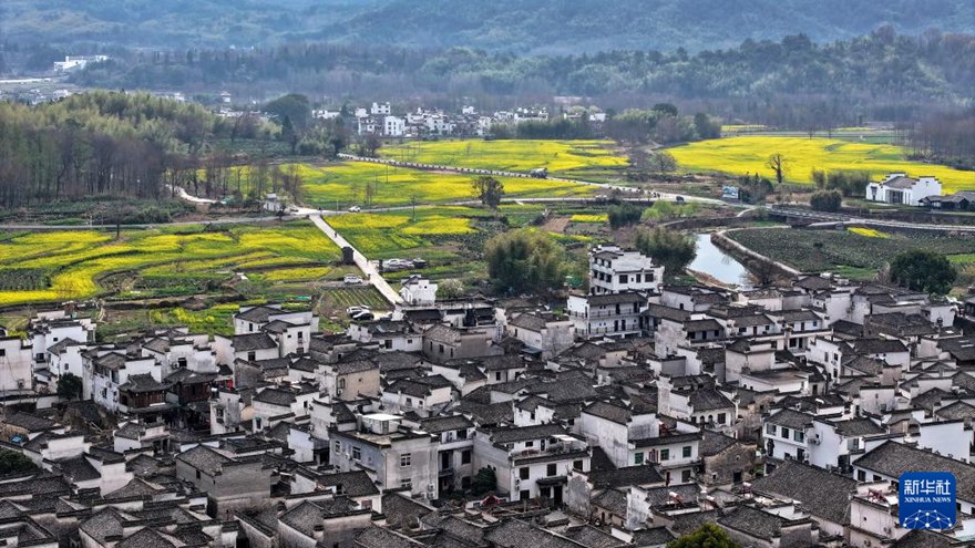 ???(安徽)? ??(黃山)? ?(黟)? ?(蘆)?? ???? ???? ?? ???? ?? [3? 23? ?? ??/?? ??: ???(樊成柱)]