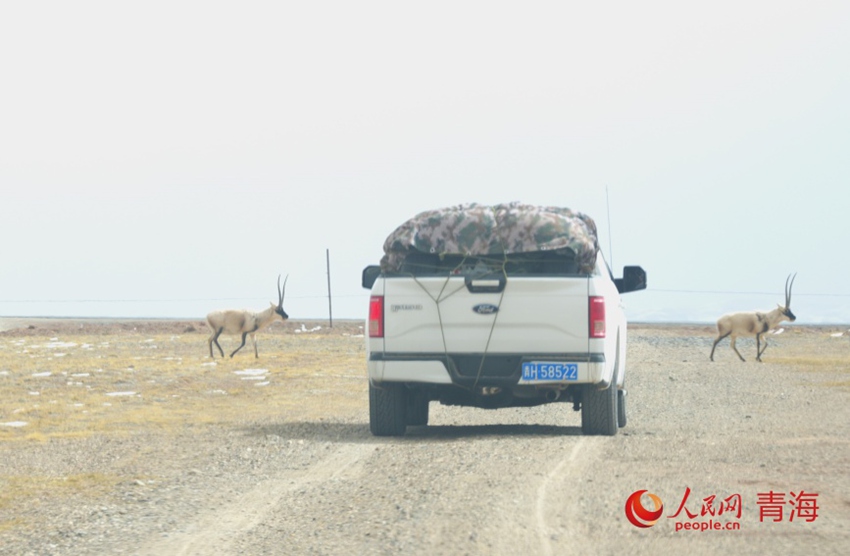 ???? ??? [?? ??: ???]