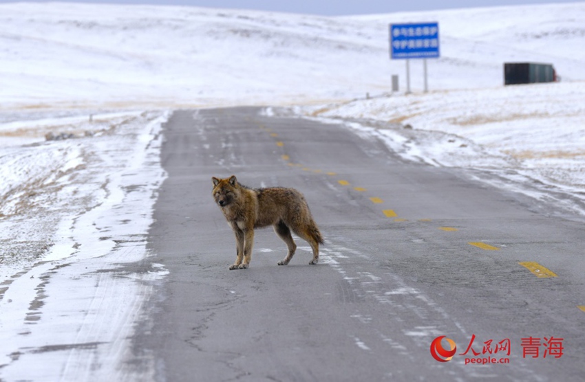 ? ??? ?? [?? ??: ???]