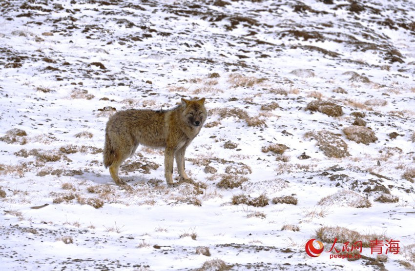 ? ??? ?? [?? ??: ???]