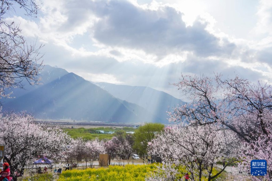 ??? ????? ??? ??? ?? [3? 29? ??/?? ??: ???]