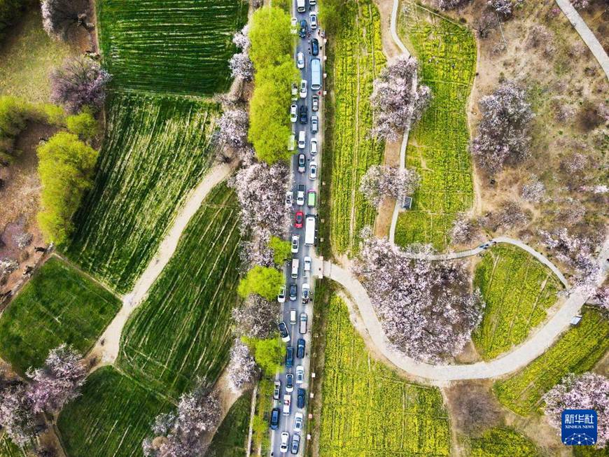 ??? ???? ? ?? [3? 29? ?? ??/?? ??: ???]