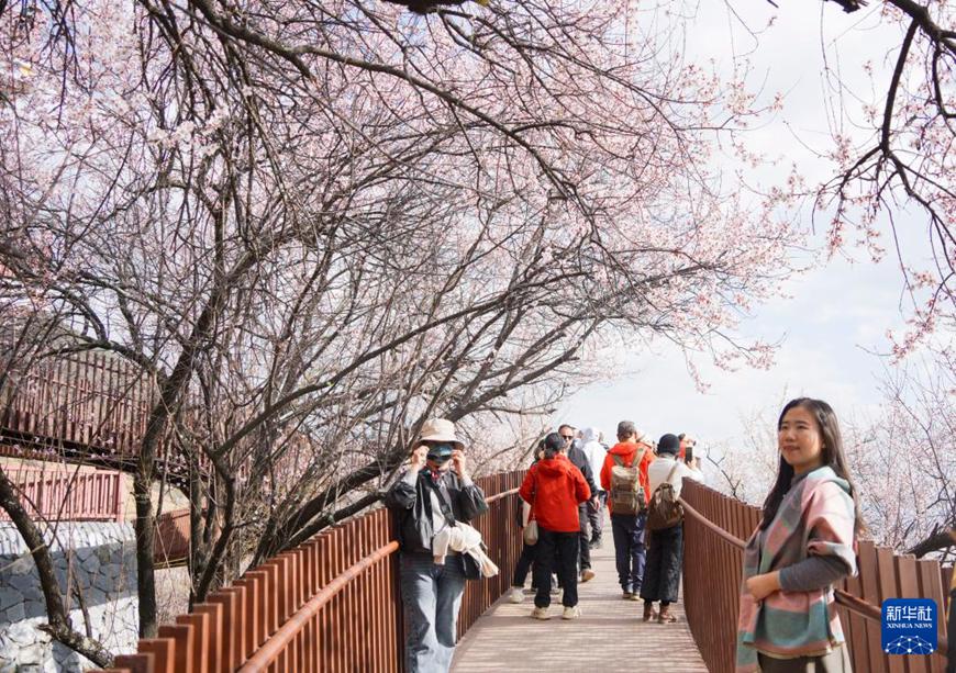 ????? ????? ?? ???? ??? ?? ??. [3? 29? ??/?? ??: ???]