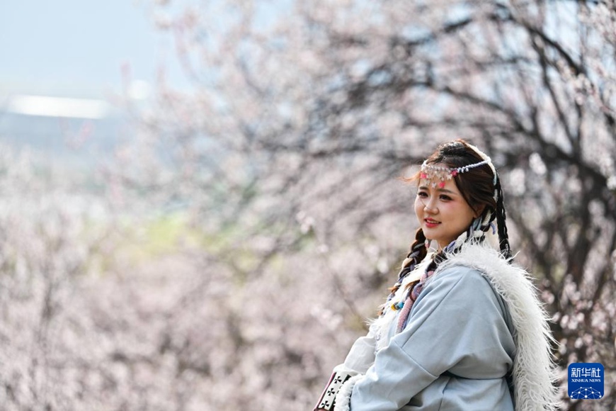 ???? ????? ???? ??? ??. [3? 29? ??/?? ??: ???]