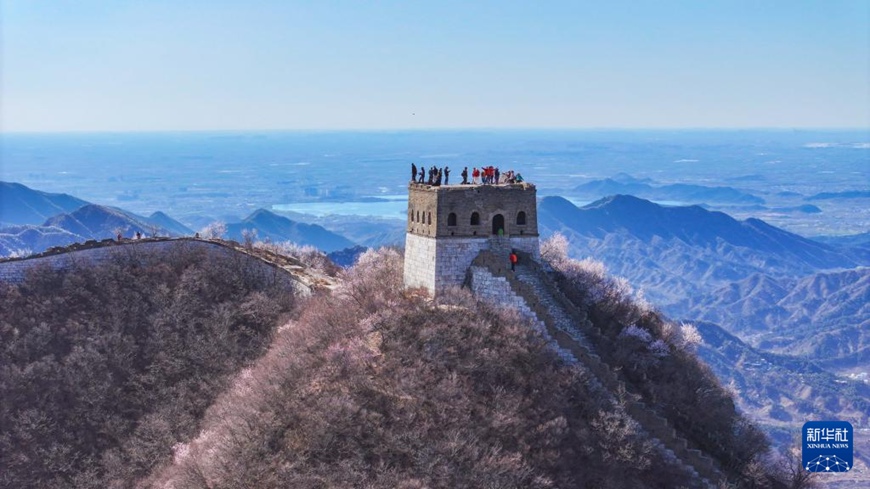 ???? ??? ???? ???? ??. [4? 5? ?? ??/?? ??: ???]