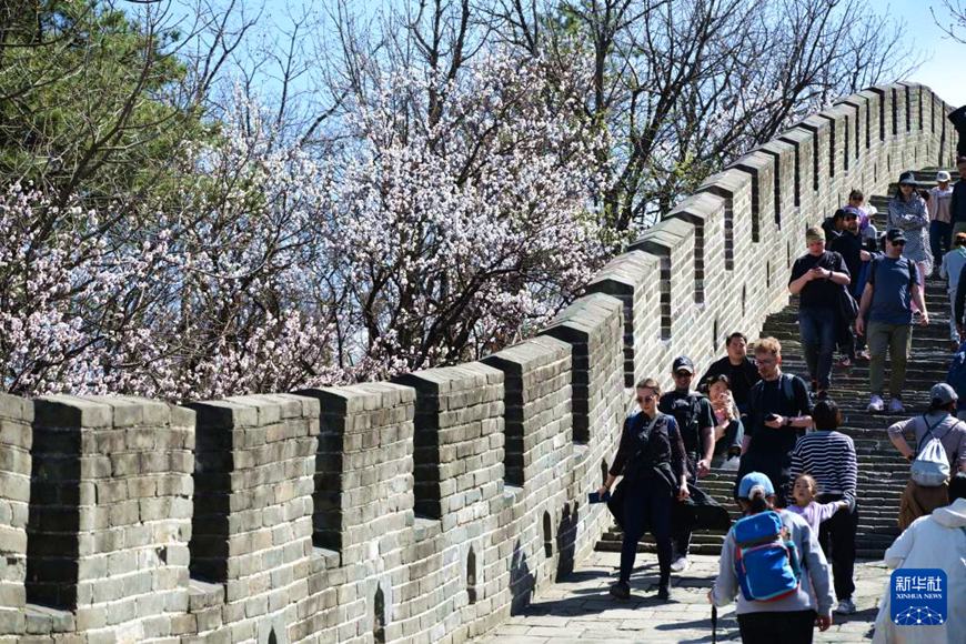 ??? ??? ?? ???? [4? 5? ??/?? ??: ???]