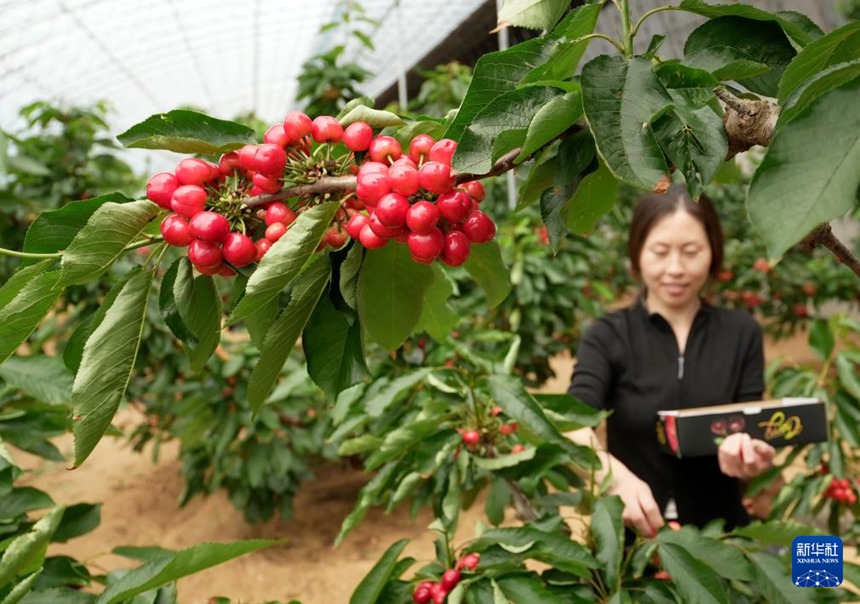 ?? ?? ?? ??? ??? ???? ??? ???? ??. [4? 9? ??/?? ??: ???]