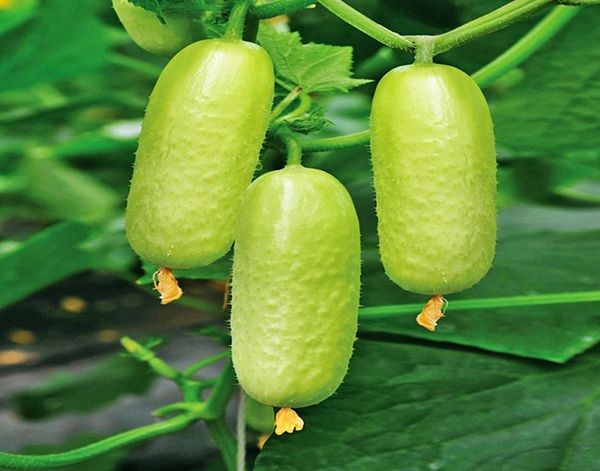 [?? ??: ????????????]