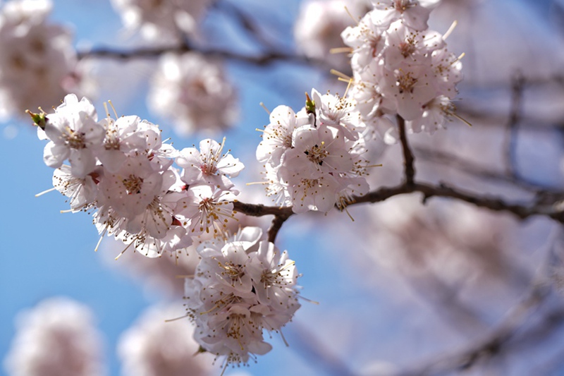 ??? ?? ?? ??? ???. [?? ??: ???]