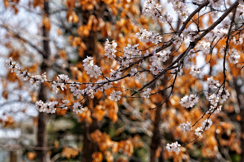 ????? ????? ?? ???? ???? ?? ????. [?? ??: ???]