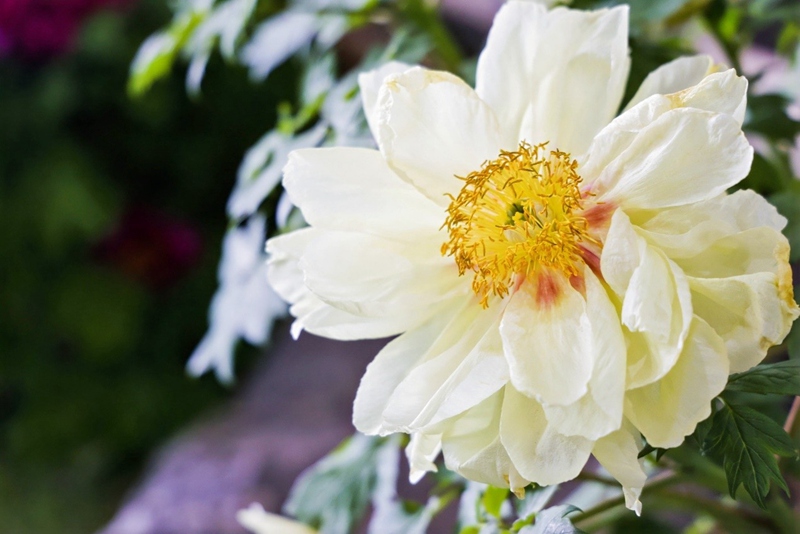 ?? ??????? ???? ?? ?? ??. [?? ??: ???]