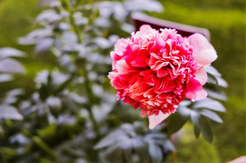 ?? ??????? ???? ?? ?? ??. [?? ??: ???]