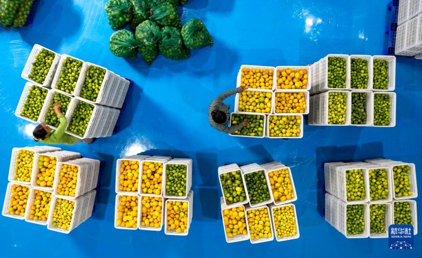 ?? ???, ?? ??? ?(富)? ? ????