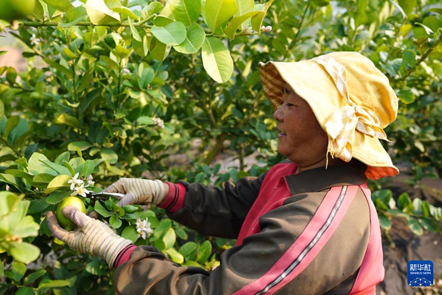 ??? ? ?? ?? ??? ???????? ??? ?? ??? ???? ??. [3? 31? ??/?? ??: ???]