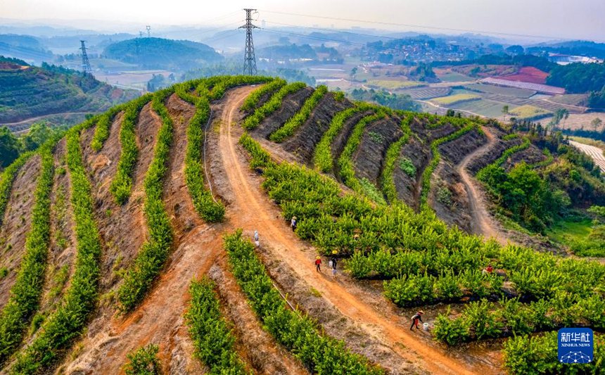 ???? ?? ?? ??? ???????? ?? ???. [3? 31? ?? ??/?? ??: ???]