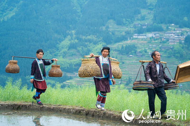 ?? ???? ?? ??? ? T??? ? ??? ????.