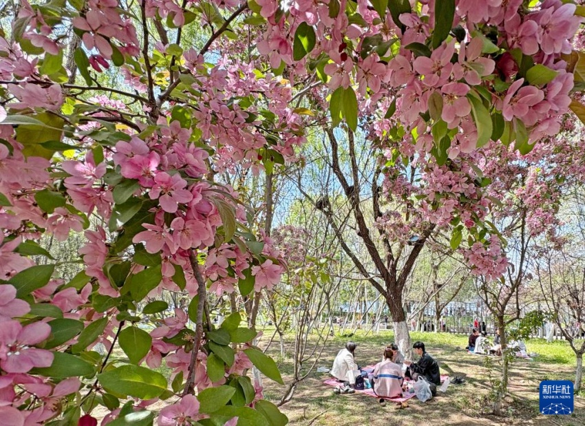 5? 4? ???(遼寧) ??(瀋陽) ?????(長白島) ?? ????? ??? ??? ???