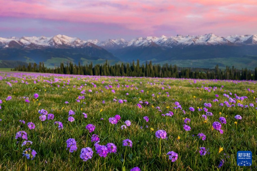 ???(喀拉峻) ??? [2024? 5? 14? ??/?? ??: ????(賴宇寧)]