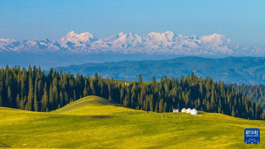 ????(阿克塔斯) ??? [2024? 5? 15? ?? ??/?? ??: ????]