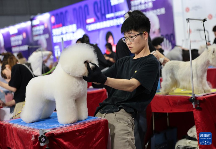 ? ???? ???? ????? ?? ?? ???? ?? ???? ?? ??? ??. [5? 8? ??/?? ??: ???]