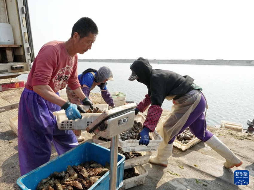 ???? ??? ??? ? ?? ?? ????? ????? ??? ??? ??? ?? ??. [5? 12? ??/?? ??: ???]