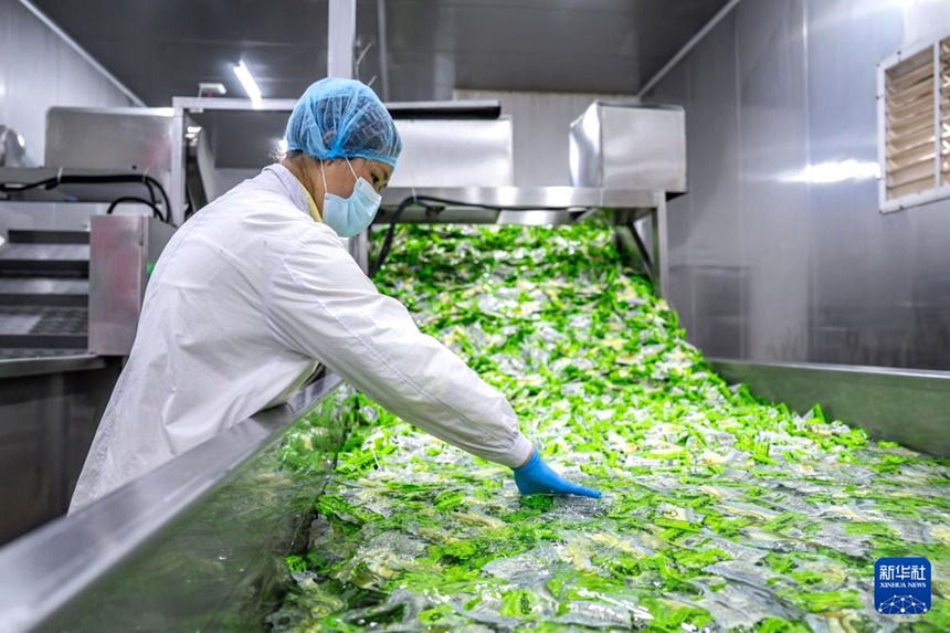 ???? ?? ??? ?? ?? ??? ???? ??. [5? 14? ??/?? ??: ???]