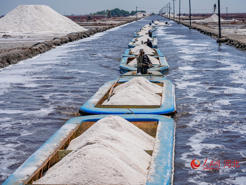 ?? ???? ??? ?? ?? ???. [?? ??: ???]