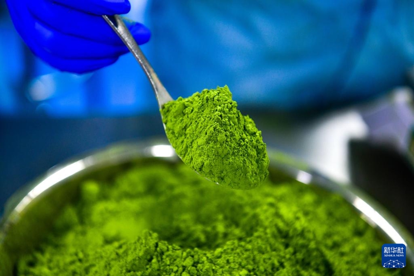 ???? ?? ??? ???? ??. [5? 14? ??/?? ??: ???]