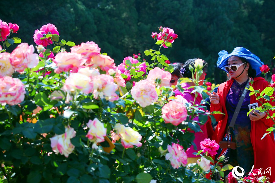 ??? ?????? ????? ?? ???? ???? ??. [?? ??: ???]