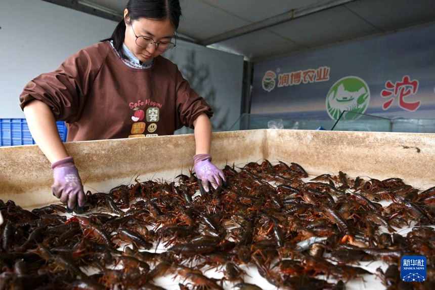 ??? ??, ????? ??? ? ??