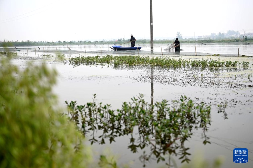 ????? ????? ?? ??. [5? 15? ??/?? ??: ???]