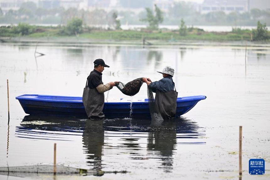 ????? ????? ?? ??. [5? 15? ??/?? ??: ???]