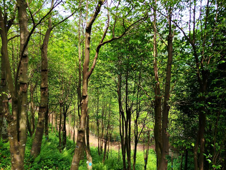 ?? ?? ???? ??? ?? ??????? ???? ???? ????? ?? ??? ???? ?? ? ???.