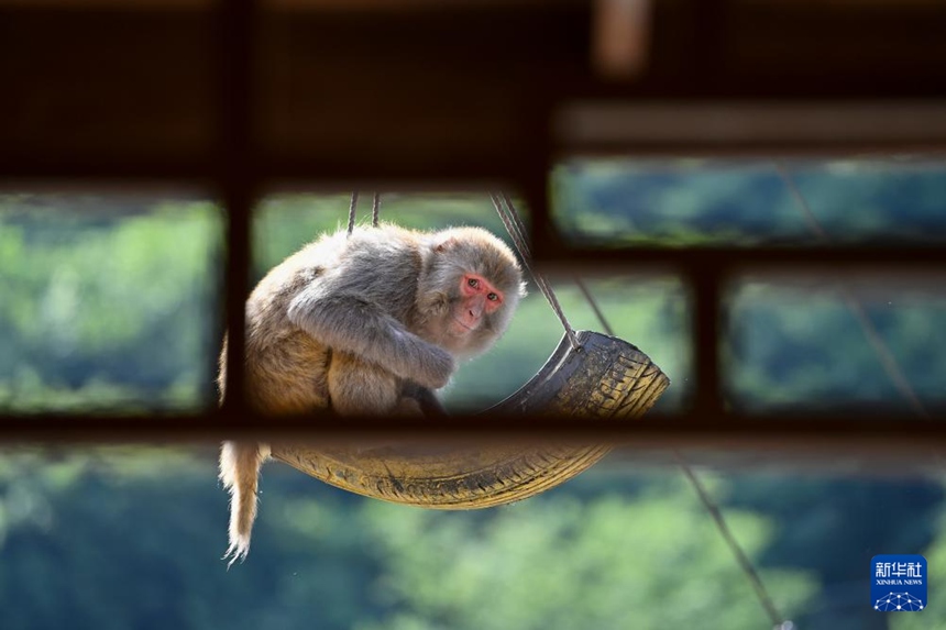 [??] ???? ?? ?????? ??