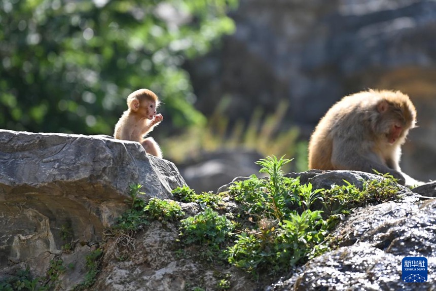 ?? ?????? ??? ??????? ???????? ??? ?? ??. [5? 21? ??/?? ??: ???]