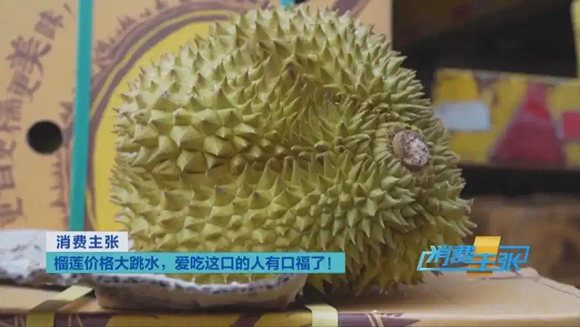 ??? ?? ???…1-4? ??? 10? ? ??, ?? ??? 6? ?? ??