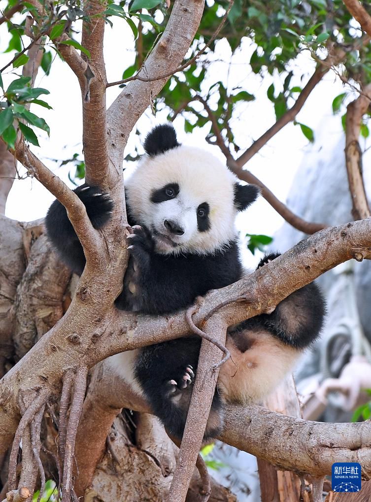 ‘??’? ????? ?? ??. [5? 27? ??/?? ??: ???]