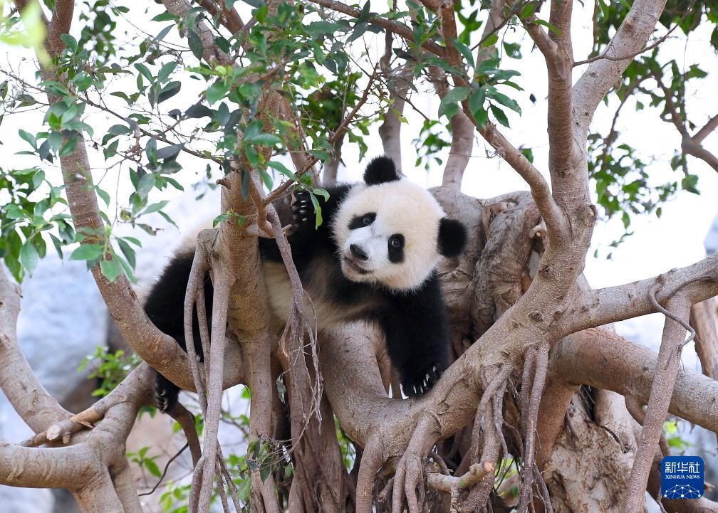 ‘??’? ????? ?? ??. [5? 27? ??/?? ??: ???]