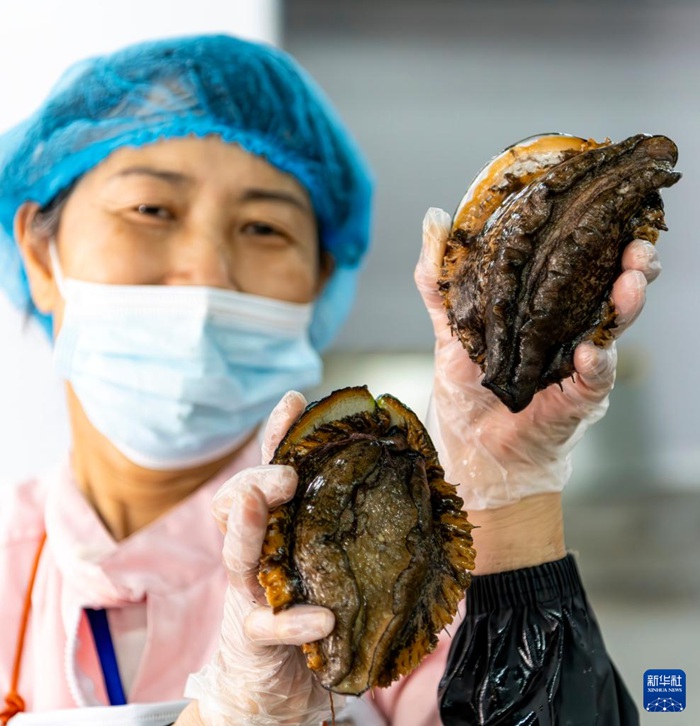 ???? ??? ??? ???? ??. [5? 16? ??/?? ??: ???]