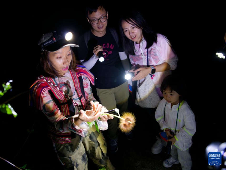 ??? ??? ?????? ?? ?? ?? ? ?? ?? ?? ?? ???(沙南希)? ?????? ???? ?? ???? ??. [5? 17? ??/?? ??: ???]