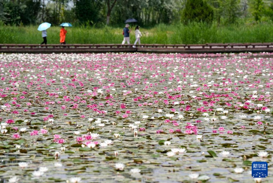 ????? ?? ??? ?? ?? ??????? ??? ???? ??. [6? 1? ??/?? ??: ???]