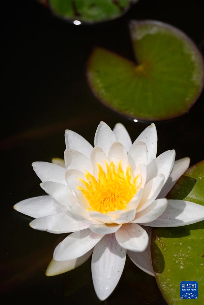 ?? ??????? ??? ?? [6? 1? ??/?? ??: ???]