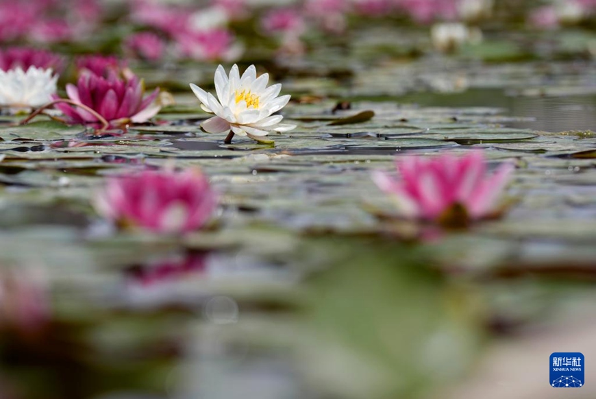 ?? ??????? ??? ?? [6? 1? ??/?? ??: ???]