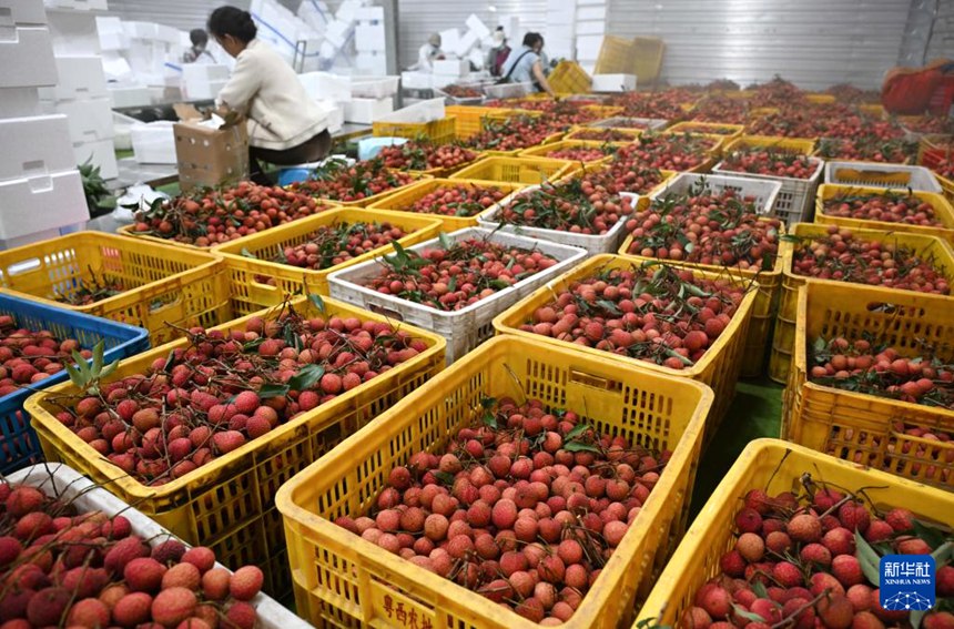 ?????(采鮮園) ?? ???? ?? ???? ?? ??? ?? ??? ?? [6? 6? ??/?? ??: ???]