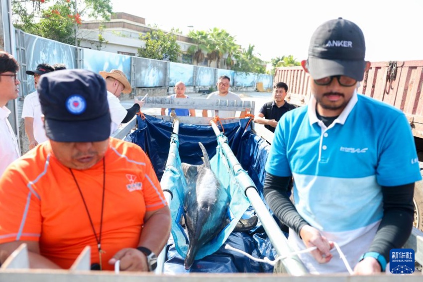 ?????? ???? ‘??’? ???? ??. [6? 8? ??/?? ??: ???]