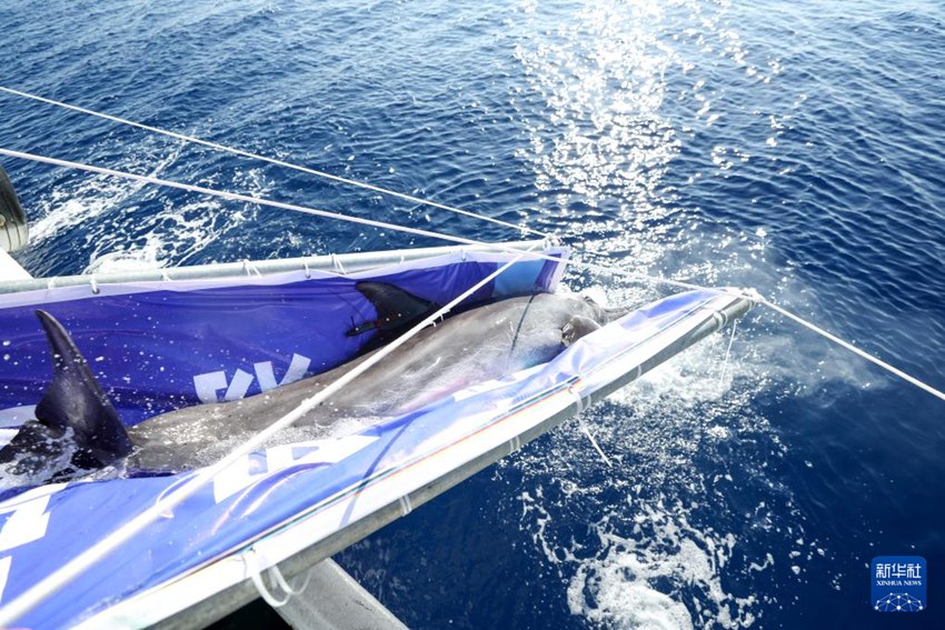 ???? ??????? ‘??’? ??? ???? ??. [6? 8? ??/?? ??: ???]