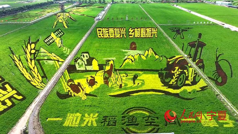 ????? ?? ?? ????? ?? ? ?? ?? [?? ??]