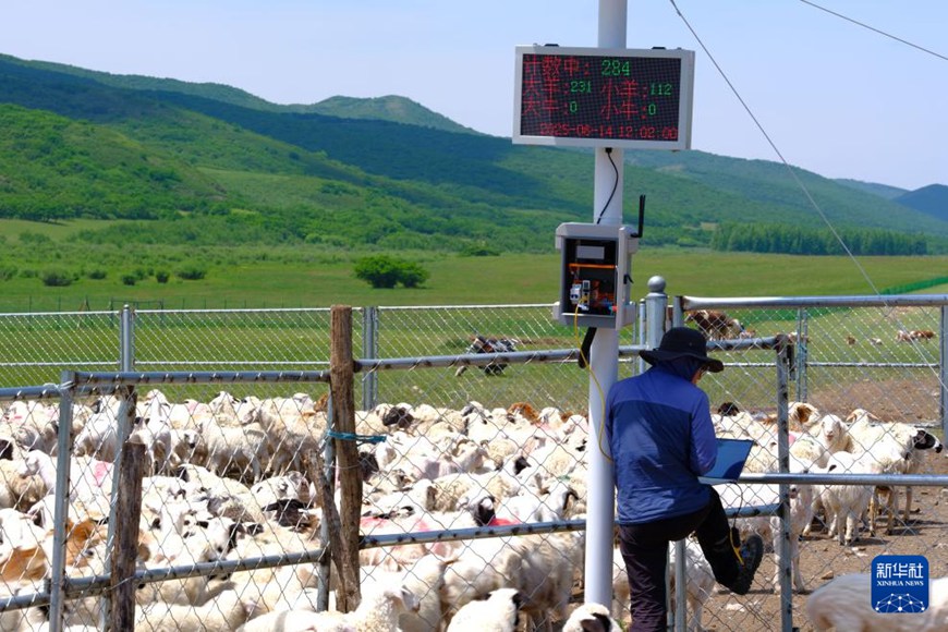 ???? ?????????(高格斯臺(tái)罕烏拉) ??? ????? ??? ????(敦都烏蘇) ????? ??? ???? ???? ??? ?? ?? ??. [6? 14? ??/?? ??: ???]